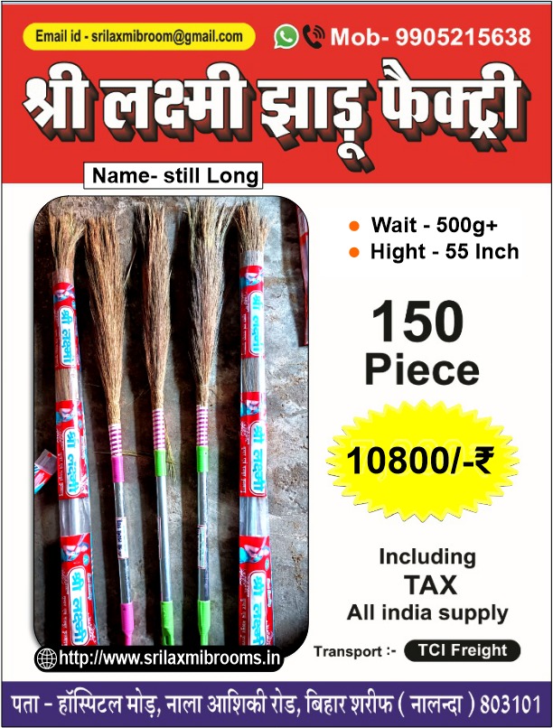 Steel Long Jhadu